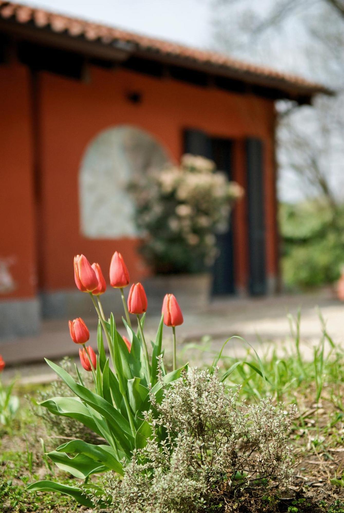 Le Serre Suites & Apartments Moncalieri Exterior photo